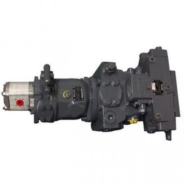 Rexroth A4vg40 A4vg56 A4vg71 A4vg90 A4vg125 A4vg180 A4vg250 Hydraulic Piston Pump #1 image