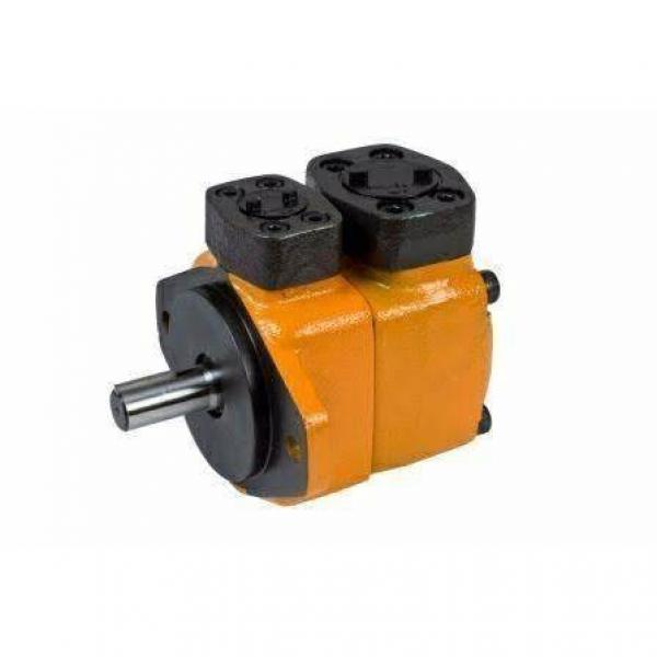 Hydraulic vane pump for Yuken PV2R high pressure electric hydraulic pump #1 image