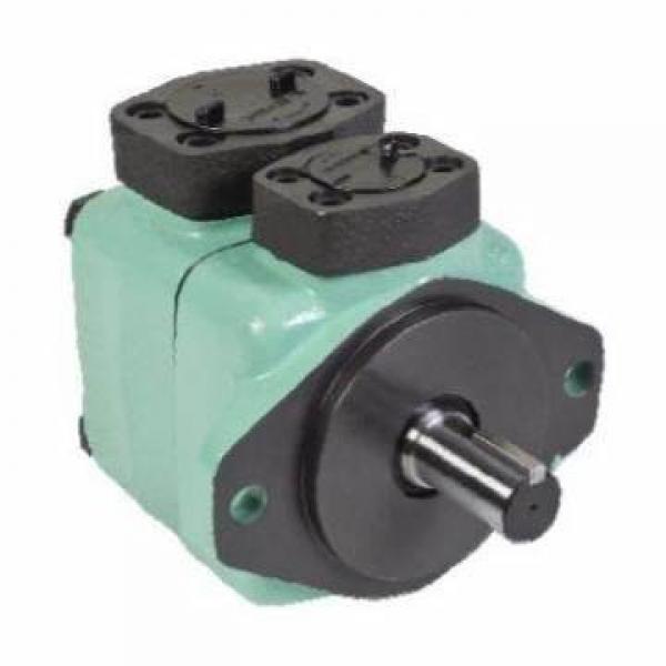 Blince PV2r Series Hydraulic Pump for Loder #1 image