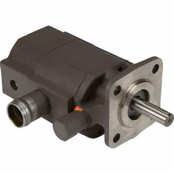Denison High Pressure Hydraulic Pump and Cartridge Kits #1 image