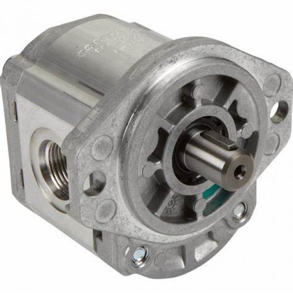 Replace Parker F11-005-LB-CN-L227-000-01 hydraulic piston motors #1 image